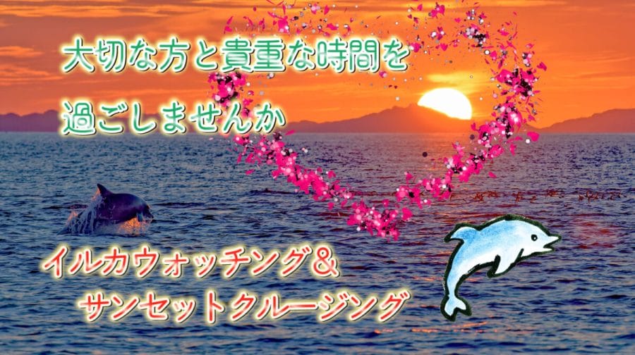 How about a sunset cruise where you can enjoy the spectacular view of the setting sun while dolphin watching on a boat in Amakusa? All-you-can-drink drinks included (beer, highball, wine, and other non-alcoholic drinks)